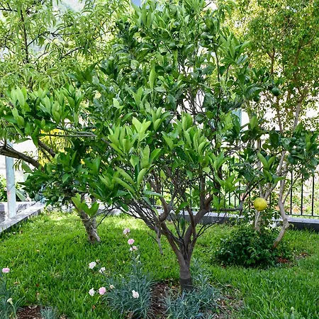 Vallera House I Apartamento *